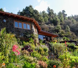 8 jours en stage privé de yoga de détox et purification à l'oasis florale de Vidyamor à La Palma, Espagne - Photo 5