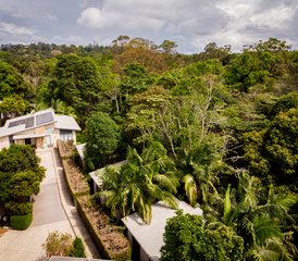 5 Tage Ruhiger Yoga Retreat in Maleny, Sunshine Coast Hinterland, Australien - Photo 3