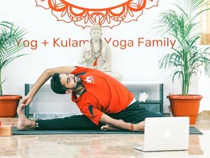 5-Stündiger Online-Selbstlernkurs für Yogatherapie
