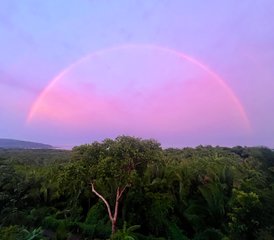 7 jours en retraite de yoga, guérison et bien-être en semi-privé à Los Cocos, Nayarit, Mexique - Photo 5