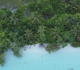 8 días de retiro de yoga con snorkel diario en Thimarafushi, Maldivas - Photo 4