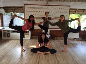 7 Day Yoga Retreat in Kerala, India