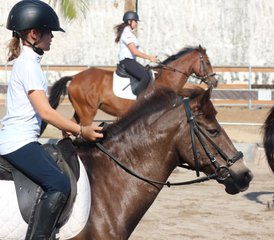 7 Day Yoga Awakening and Spa Bliss Retreat with Village Activities & Horse Riding in Bali Indonesia - Photo 4