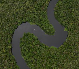 64-Daagse Tropisch-Bos Gemeenschapsavontuur Door De Prachtige Delta Van Darien, Colombia - Photo 1