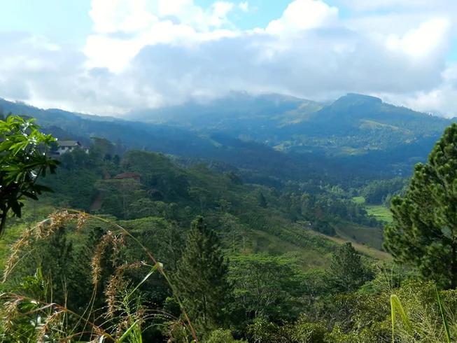 20 Day Sri Lanka Mountains and Coast Guided Motorcycle Tour photo 7