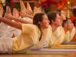 29 Tage 200-Stunden Yogalehrer Ausbildung in Kalifornien