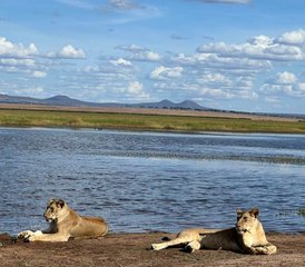 3 jours en stage de safari en Tanzanie à Tarangire, au cratère du Ngorongoro et au Serval Wildlife Experience - Photo 2