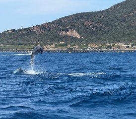 7-Daagse Zeil-, Yoga- en Wellnessvakantie op Sardinië, Italië en Corsica, Frankrijk - Photo 5