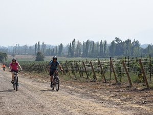 5 Tage The Condor Route Fahrradtour: Weinverkostungen und majestätische Landschaften im Herzen Chiles
