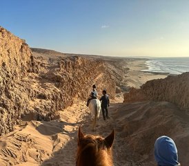 8 Day All-Inclusive Horse Riding Holiday With Yoga and Stretching in Oceanfront Riad, Agadir Morocco - Photo 3