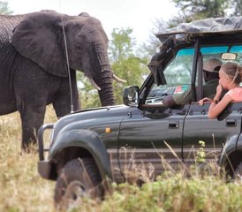14 días de safari de lujo en el Serengeti y el cráter del Ngorongoro, Tanzania - Photo 1