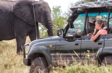 4 jours safari de luxe au Serengeti et au cratère du Ngorongoro, Tanzanie