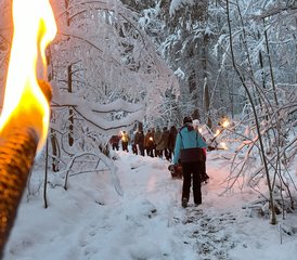 3 Tage Nikolaus Yoga Retreat im Advent im Labenbachhof, Deutschland: Sanftes Innehalten und Einkehr - Photo 2