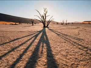 12 Tage Klassische Namibia Camping-Safari