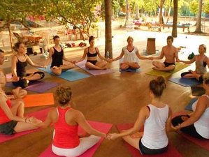 5 Tage 50-Stunden Yin Yoga und Atemarbeit Yogalehrer Ausbildung in Rishikesh, Indien