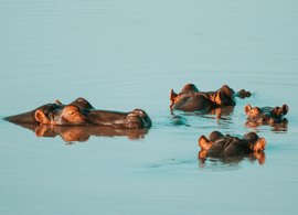 Limpopo Retraites et Voyages