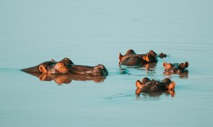 Limpopo Retraites en Reizen