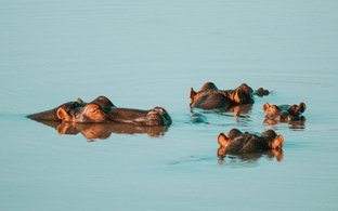 Limpopo Retraites en Reizen