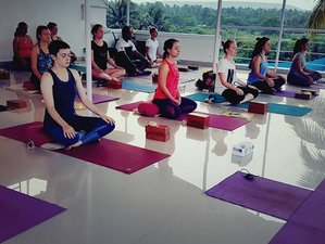 21 Day 200-Hour Ashtanga Vinyasa Yoga Teacher Training in Goa