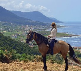 7 Day Galicia Horse Riding Experience: Ride in the Land of Wild Horses in Baiona, Spain - Photo 4