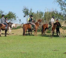 13 jours de trek équestre Mini Gobi et steppes en Mongolie - Photo 4