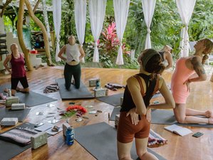 6 Day Transformational Yoga Retreat in the Jungle of Costa Rica