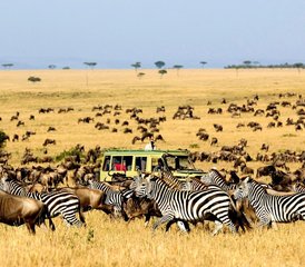 3 jours en safari de camping économique de groupe au Masai Mara au Kenya - Photo 3