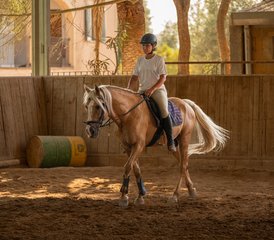 8 Day Equikinetic and Dual Activation Horse Riding Program in Mallorca, Spain - Photo 5