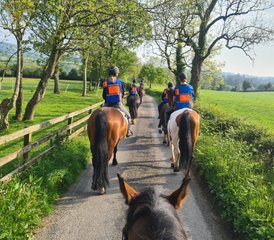 25 Day Luxury Horse Riding Holiday with Cultural and Foodie Experiences in Wicklow, Ireland - Photo 1
