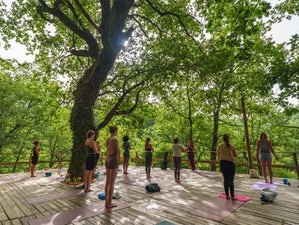 28 Day 200-Hour Traditional Hatha Yoga Teacher Training in Abruzzo National Park, Italy
