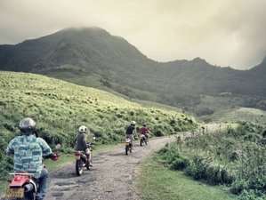 8 Day A Week in Paradise and Historical Scenery Guided Motorbike Tour in Sri Lanka
