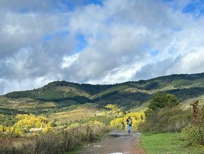 14 Day Songs of Santiago: A Creative Journey along The Camino de Santiago in Spain