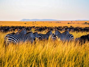 8 Day Unforgettable Kenya and Tanzania Mid-Range Safari