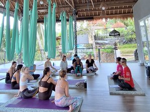 6 Day 50-Hour Aerial Yoga Teacher Training in Bali, Indonesia 