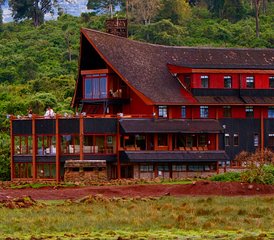 5 Day Safari Adventure through Aberdares, Lake Nakuru, and Masai Mara in Kenya - Photo 5