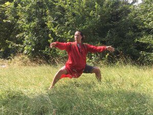 4 Day Return to Centre: Qigong/Chi Gung in the Countryside of Cullompton, UK