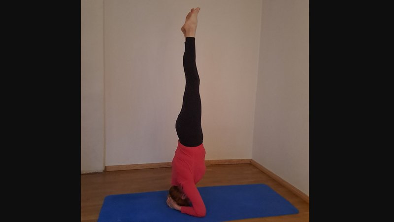 4 Day Meditative Yoga Retreat in Mērsrags, Courland, Latvia