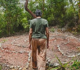 4 Day Silent Meditation Retreat in the Blue Mountains, NSW, Australia with Sensory Meditation - Photo 3