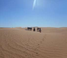 6 jours de randonnée équestre dans le désert au Maroc - Photo 3