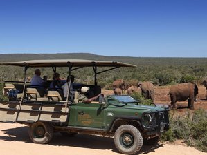 3 Day Spa and Safari in Addo Elephant National Park