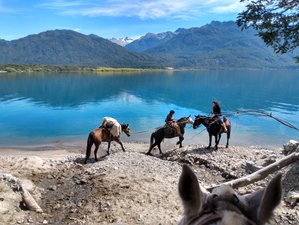 6 Day Intermediate to Advanced Horse Riding Holiday in Northern Patagonian Andes