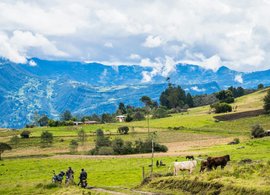 Manta Retreats und Reisen