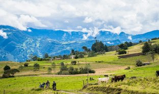 Manta Retreats und Reisen