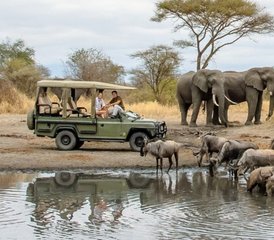 65 jours safari en camping au lac Manyara, au Ngorongoro et au Serengeti, Tanzanie - Photo 1