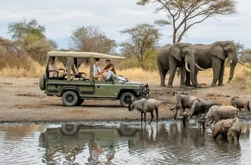 5 Tage Lake Manyara, Ngorongoro & Serengeti Camping Safari in Tansania