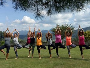 6 Days Revitalize Yoga Retreat In Mulu Malaysia Bookyogaretreats Com
