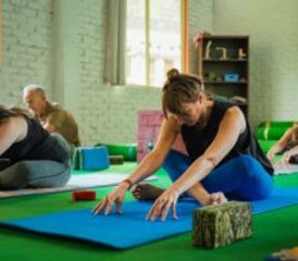 12 días de formación de Yin y Yoga Nidra de 100 horas en Rishikesh, India - Photo 4