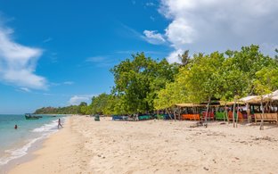 Dominical Retreats & Trips