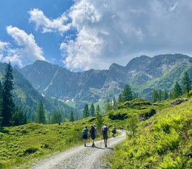 4 Day Back to the Roots Yoga Retreat in Liesing, Austria with Guided Hike, Sound Healing, and More - Photo 5