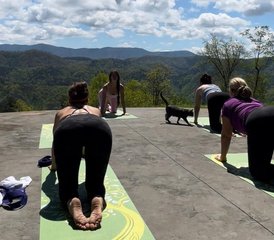 6 Day Luxury Wellness, Yoga, Pilates, Food, and Culture Retreat in Charente, South of France - Photo 5